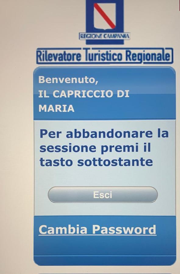Il Capriccio Di Maria Guest House Vietri エクステリア 写真